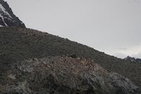 
DSC00109